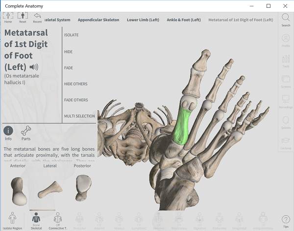 适用于 Windows PC 的最佳免费 3D 人体解剖学软件 - Tech Club
