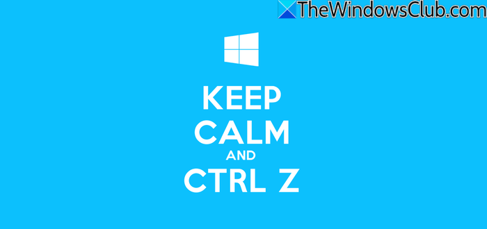 Windows 11 计算机的 CTRL 命令或键盘快捷键 - Tech Club