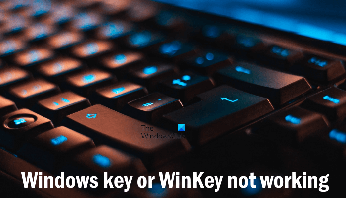 Windows 键或 WinKey 在 Windows 11/10 上不起作用 - Tech Club