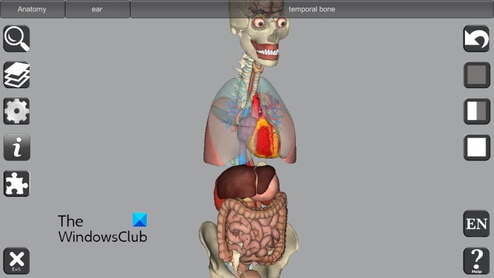 适用于 Windows PC 的最佳免费 3D 人体解剖学软件 - Tech Club