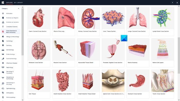 适用于 Windows PC 的最佳免费 3D 人体解剖学软件 - Tech Club