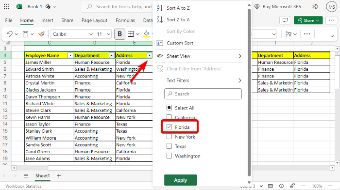 Excel FILTER Function with multiple criteria

