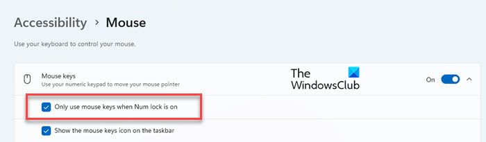 Disable Num Lock Key 在 Windows 11 中启用或禁用“在 Num Lock 处于打开状态时使用鼠标键” - Tech Club