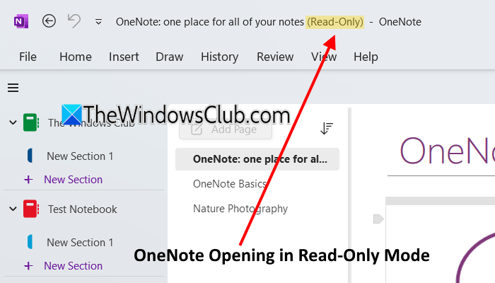 OneNote 以只读模式打开 [修复] - Tech Club