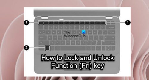 如何在 Windows 11/10 中鎖定和解鎖功能 (Fn) 鍵 - Tech Club