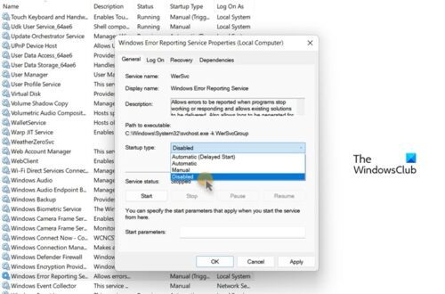 修復 Windows 錯誤報告 (WerFault.exe) 高 CPU、磁盤問題。 Windows 11/10 中的內存使用情況 ...